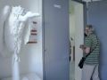 IMG 41531