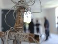 IMG 41581