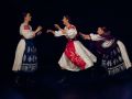 IMG 92471